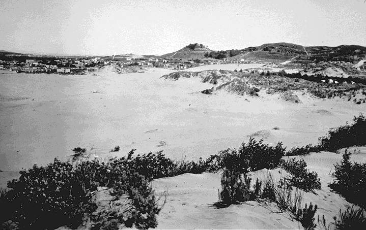 File:Ecology1$richmond-dunes-c-1890s.jpg