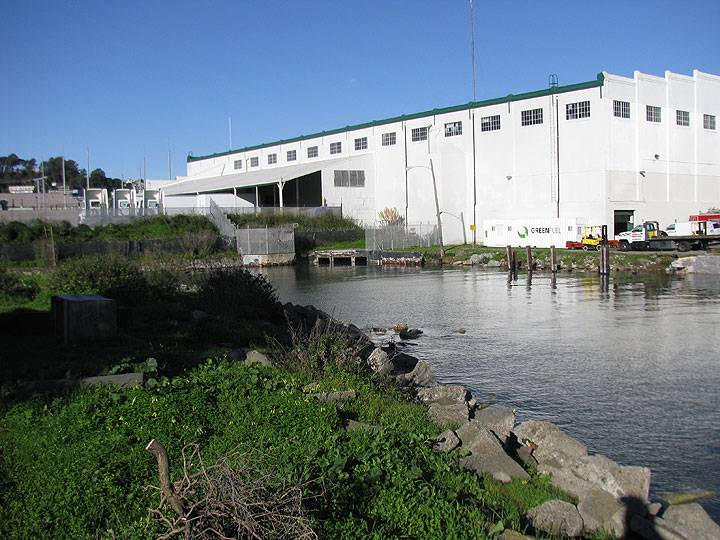 File:Warm-water-cove-sewer-outlet-at-king-tide 1652.jpg