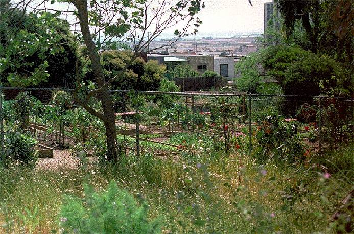 File:Excelvis$bayview-community-garden.jpg