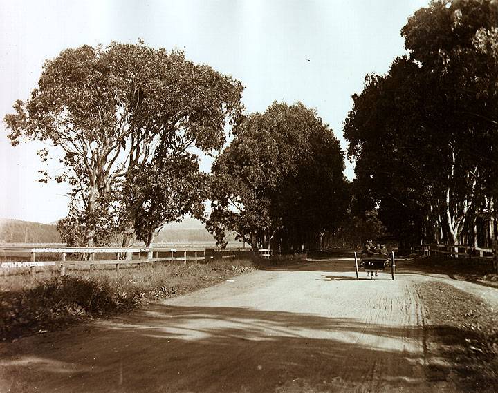 File:Ocean-Ave-at-35th-c1900.jpg