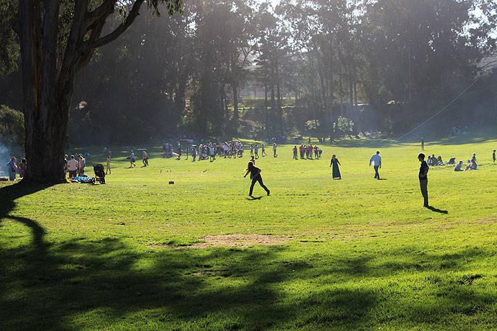 File:Lindley-meadow 4560.jpg