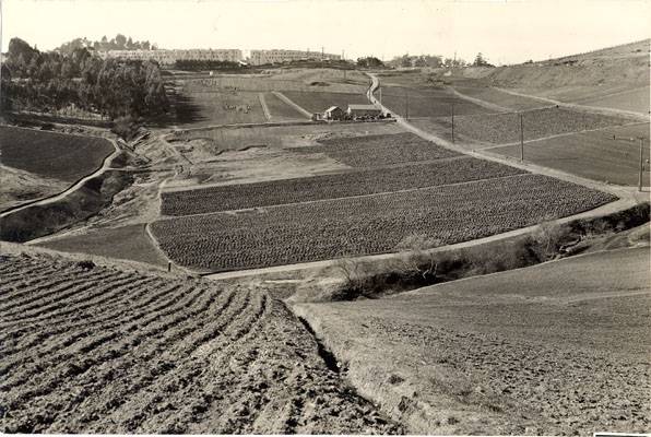 File:Portola Garden 1941 AAK-0628.jpg