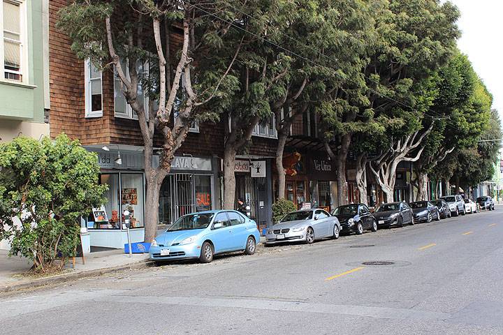 File:Hayes-street-trees 0798.jpg