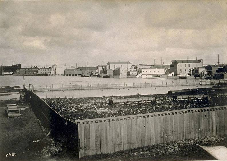 File:Butchertown I0049689A.jpg