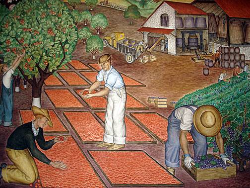 File:Coit mural apricot-dryers9980.jpg