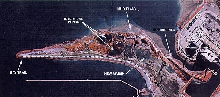 Bayvwhp$india-basin-and-bayshore$heronshead itm$heron s-head-park.jpg