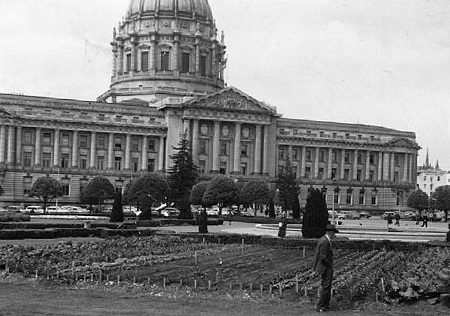 File:Sfcityhall garden.jpg