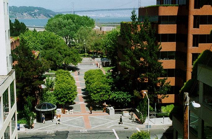 levi strauss plaza