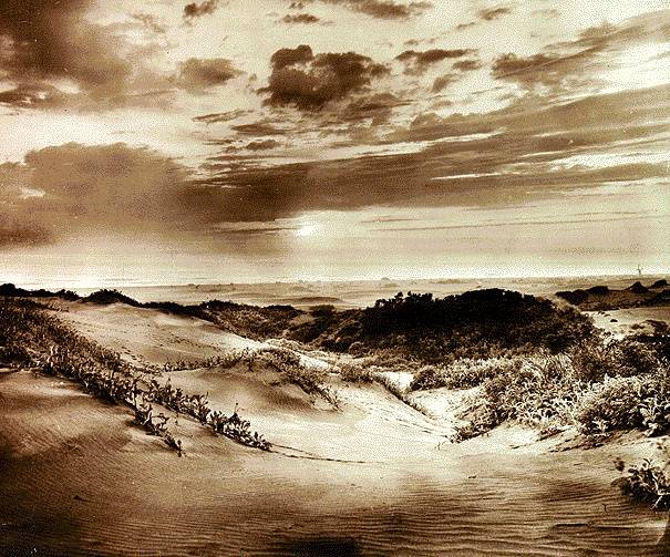 Ecology1$dunes-1900.jpg