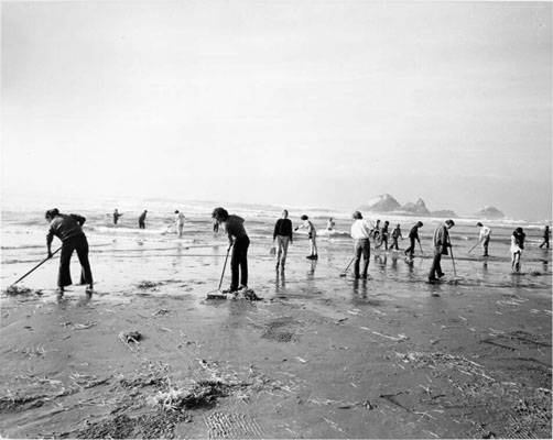 File:Oil spill cleanup ocean beach 1971 AAB-9966.jpg