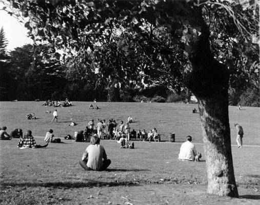 File:Hippie Hill 1967 AAA-7780.jpg