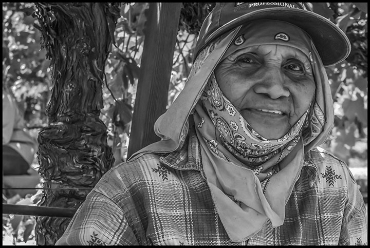 File:Dnb filipino farmworkers 05.jpg