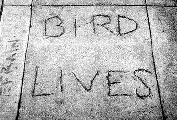 Cement bird lives.jpg