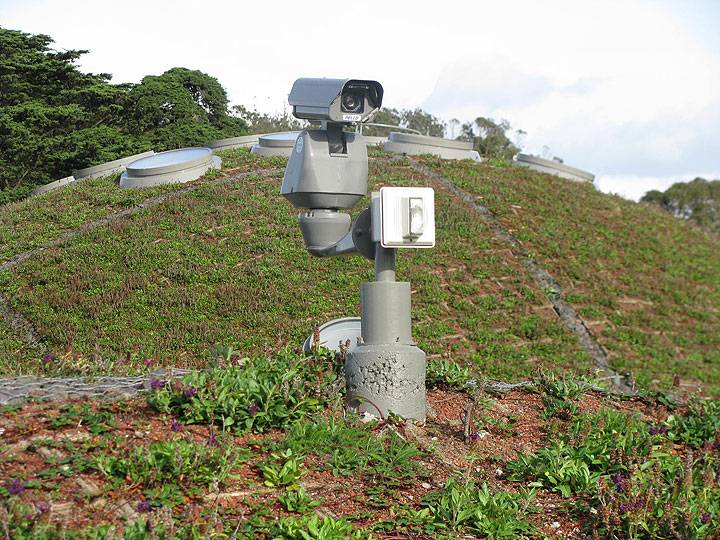 File:Academy-of-sciences-roof-camera 5038.jpg