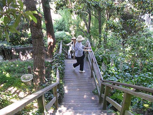 File:Filbert-steps 0157.jpg
