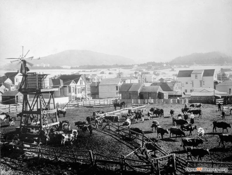 File:Rchcowfarm wnp26.632.jpg