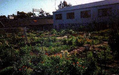 File:Ecology1$potrero-del-sol-garden.jpg
