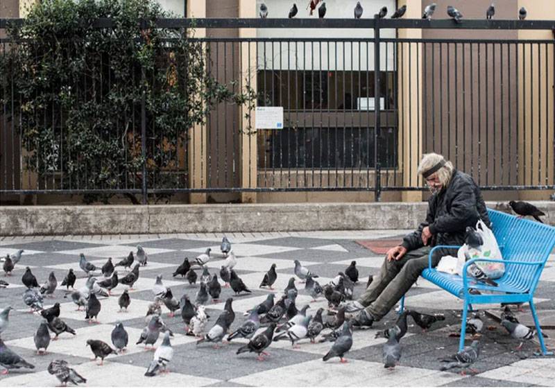 File:Swan-pigeons-bench Julio-Marcial.jpg