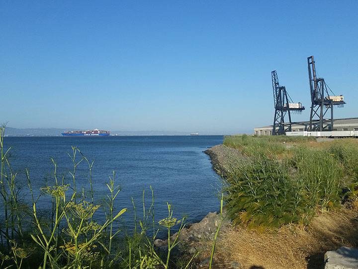File:Warm-Water-Cove 20170619 184741.jpg