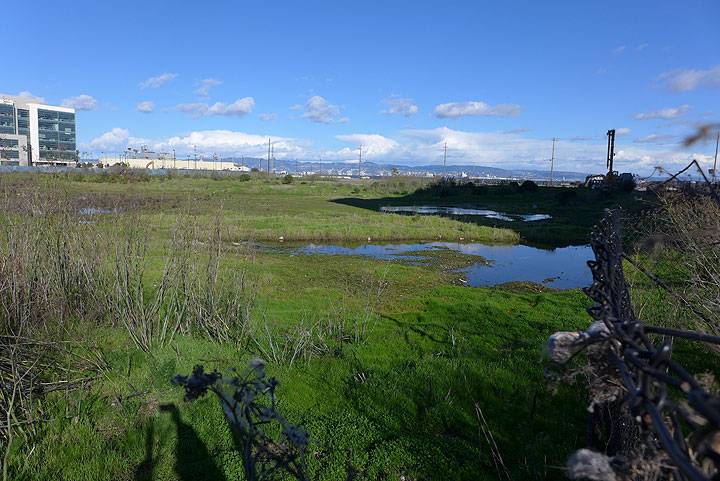 File:Future-warriors-stadium-pond P1060623.jpg