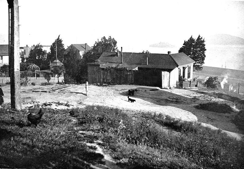 File:Early-settlement-on-Telegraph-Hill-with-chickens-&-dogs-in-the-1890s.jpg