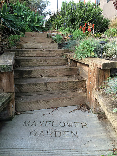 File:Mayflower-garden-steps-and-plants-jan-2018.jpg