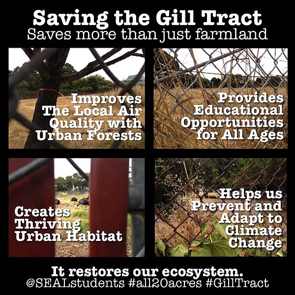 File:Gill Tract 6007c4b4a08a3d42a73ee50ca64562db.jpg