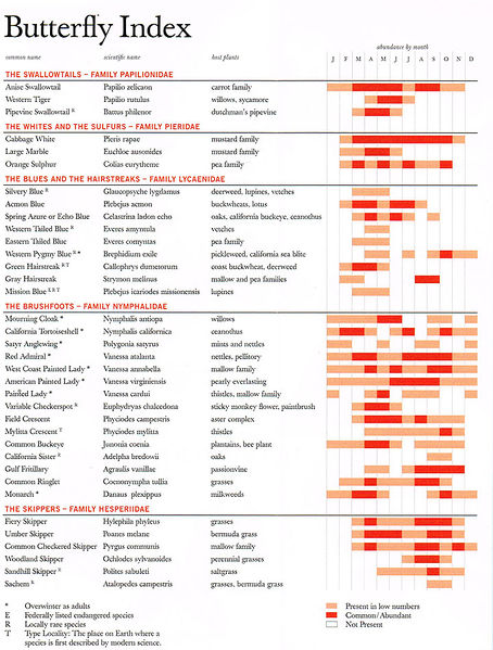 File:Butterflies index.jpg