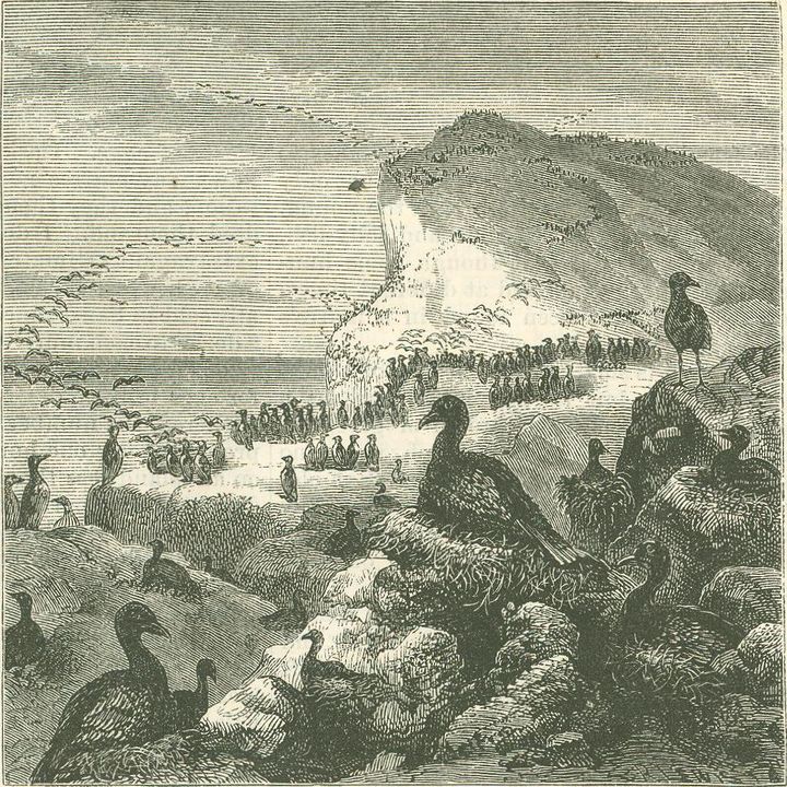 Farallones Islands 1874 - FoundSF