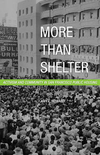 More Than Shelter cover.jpg