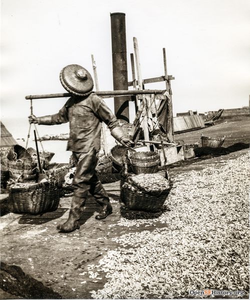 File:Chinese shrimp worker c 1910 wnp4.1290.jpg