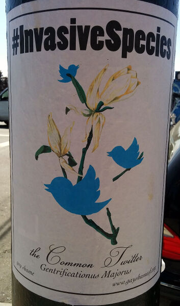 File:Gay-shame-common-twitter 20150508 150932.jpg