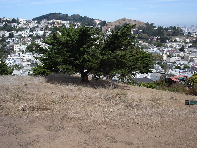 File:Eureka Valley and Buena Vista Park. 2005.jpg