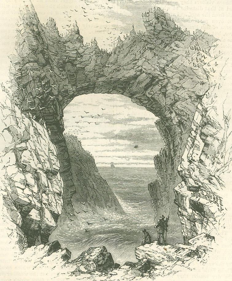 英語　グル風拡張アートの島4枚と山2枚 Farallones Islands 1874 - FoundSF