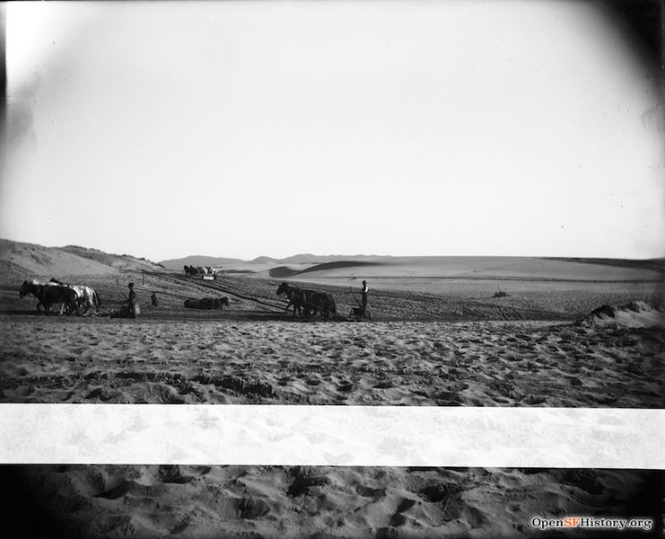 File:Plowing dunes with horses richmond wnp15.352.jpg