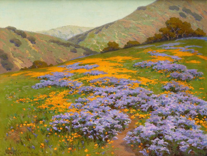 File:Wild Heliotrope and Poppies San Francisco by John Marshall Gamble betw-1893-1906.jpg