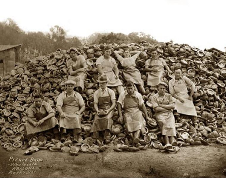 File:Pierce-Brothers Hidden-History-Abalone-in-Morro-Bay-2.jpg