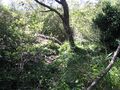 Thumbnail for version as of 12:25, 26 May 2026