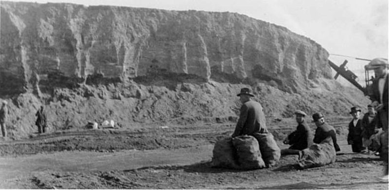 File:Demolition of the Emeryville Shellmound 1924 from Phoebe Hearst Museum of Anthropology and UC Regents catalog no 15-7792 920x920.jpg